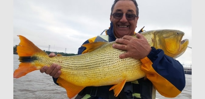 Dourado Bus - Peixes do Local