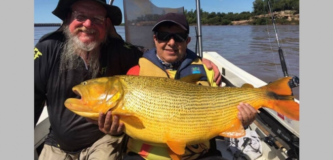 Dourado Bus - Peixes do Local