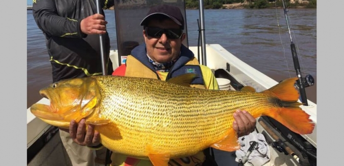 Dourado Bus - Peixes do Local