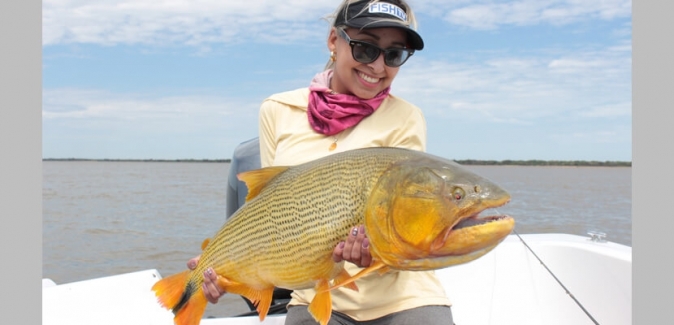 Dourado Bus - Peixes do Local