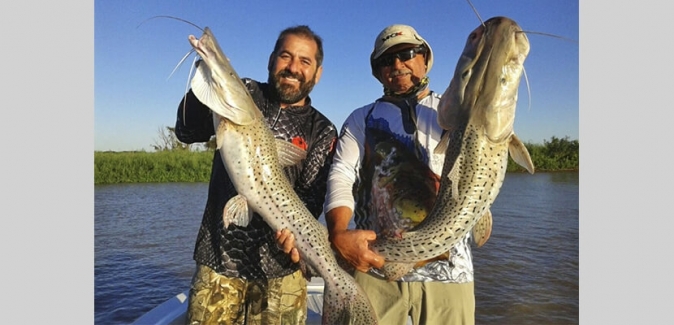 Dourado Bus - Peixes do Local