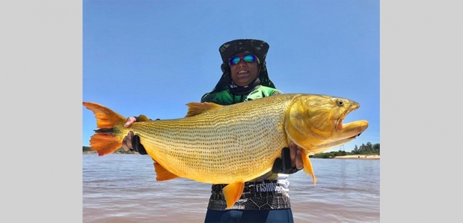 Dourado Bus - Peixes do Local