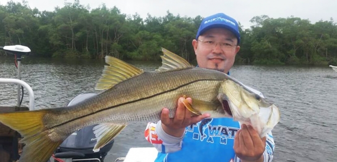 Saltwater Team - Peixes do Local