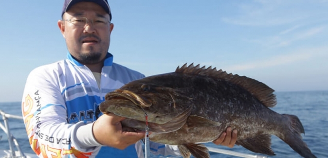 Saltwater Team - Peixes do Local