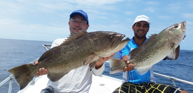 Saltwater Team - Peixes do Local