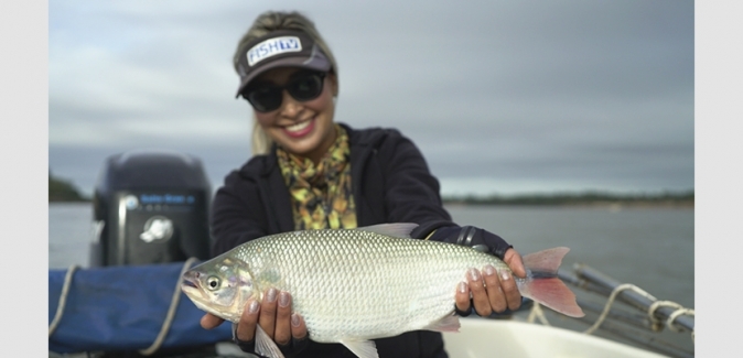 Bamby`s Pesca - Peixes do Local