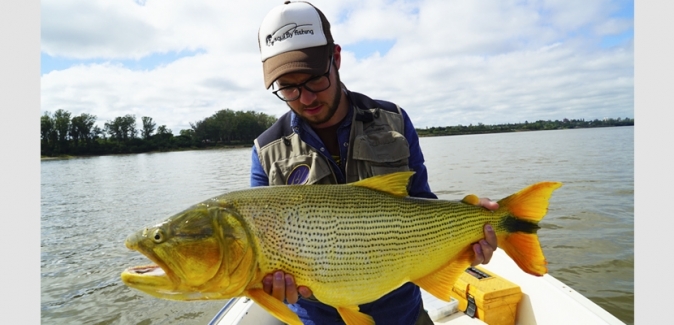 Bamby`s Pesca - Peixes do Local