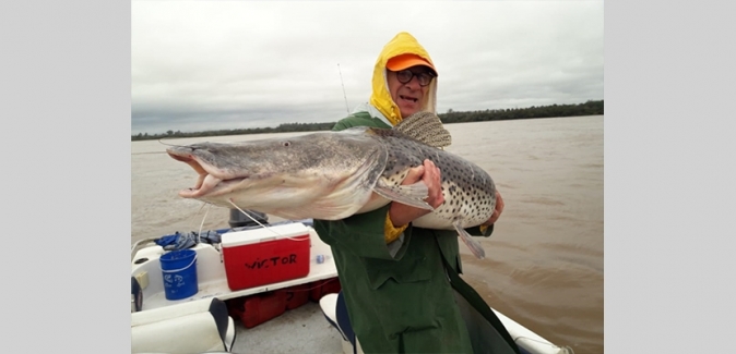 Bamby`s Pesca - Peixes do Local