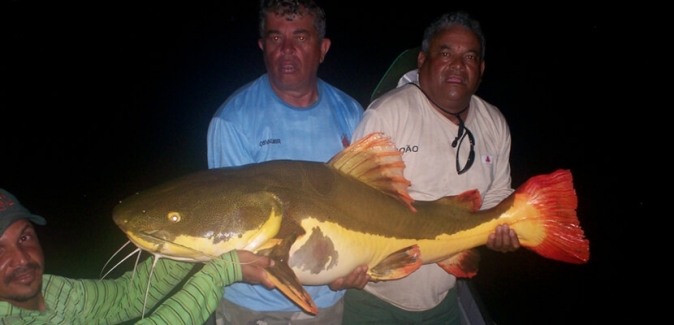 Pousada Rio Xingu - Peixes do Local