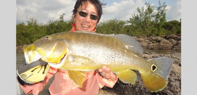 Pousada Rio Xingu - Peixes do Local