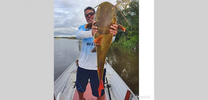 Pousada Rio Xingu - Peixes do Local