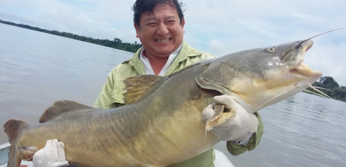 Teles Pires Lodge - Peixes do Local