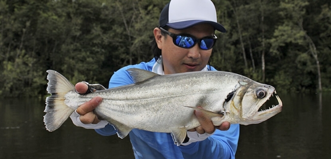 Teles Pires Lodge - Peixes do Local