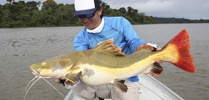 Teles Pires Lodge - Peixes do Local