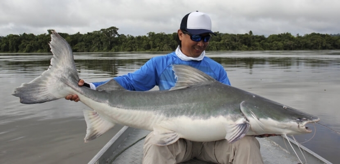 Teles Pires Lodge - Peixes do Local