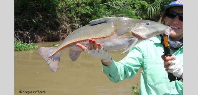 Pousada Rio Mutum - Peixes do Local