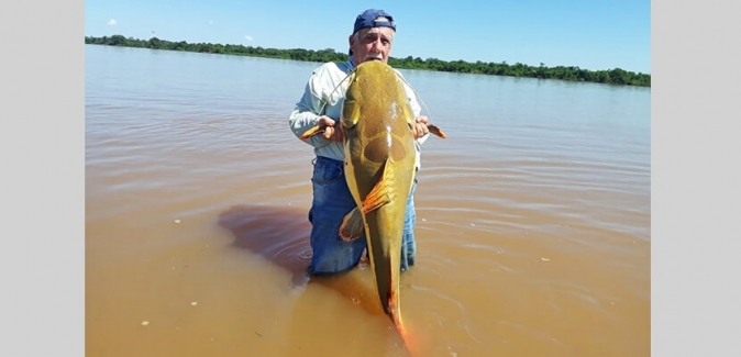 Pousada Canoeiros - Peixes do Local